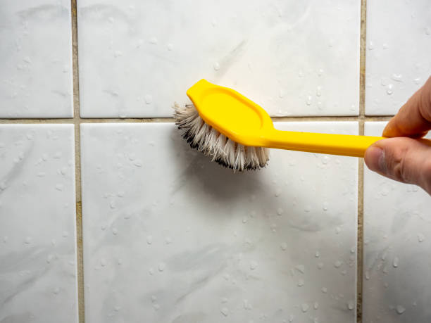 Best Local Mold Removal Service  in Heber, UT